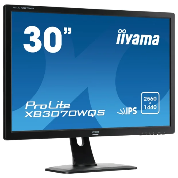 Монитор Iiyama ProLite XB3070WQS-B1